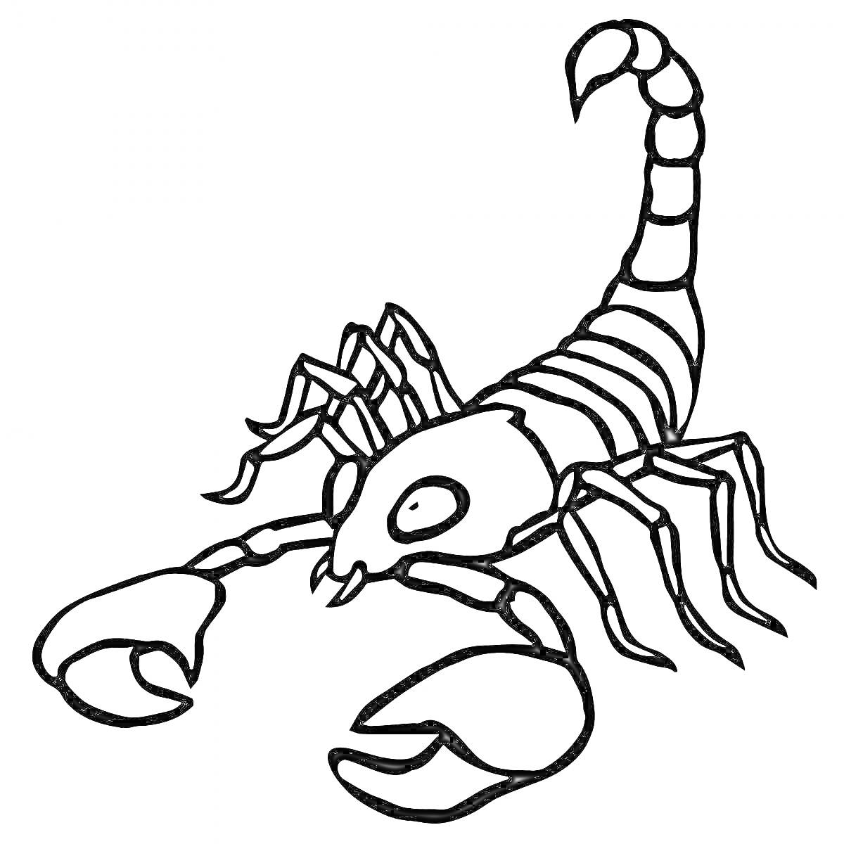 Раскраска Скорпион с клешнями и поднятым хвостом