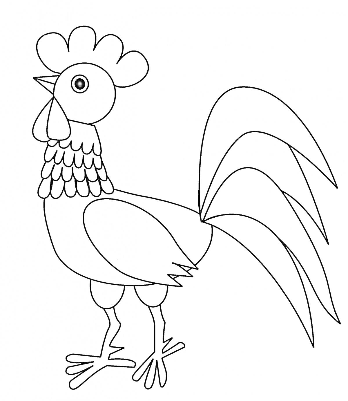 Раскраска Петух с гребнем, длинным хвостом и крыльями