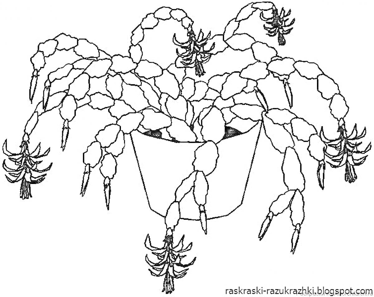 Раскраска Растение в горшке с длинными сегментированными стеблями и цветами