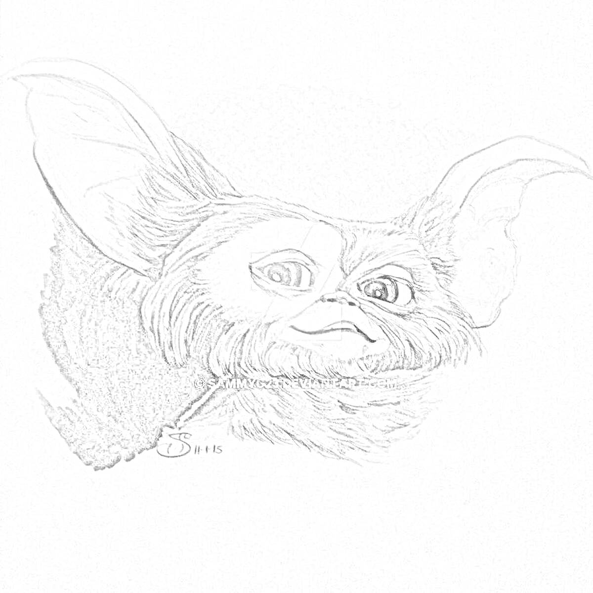 Раскраска портрет гремлина с большими ушами и пушистой шерстью