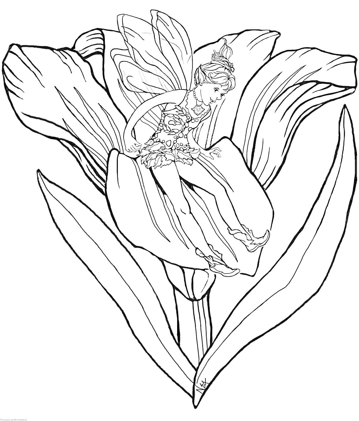 Раскраска Фея на цветке лилии