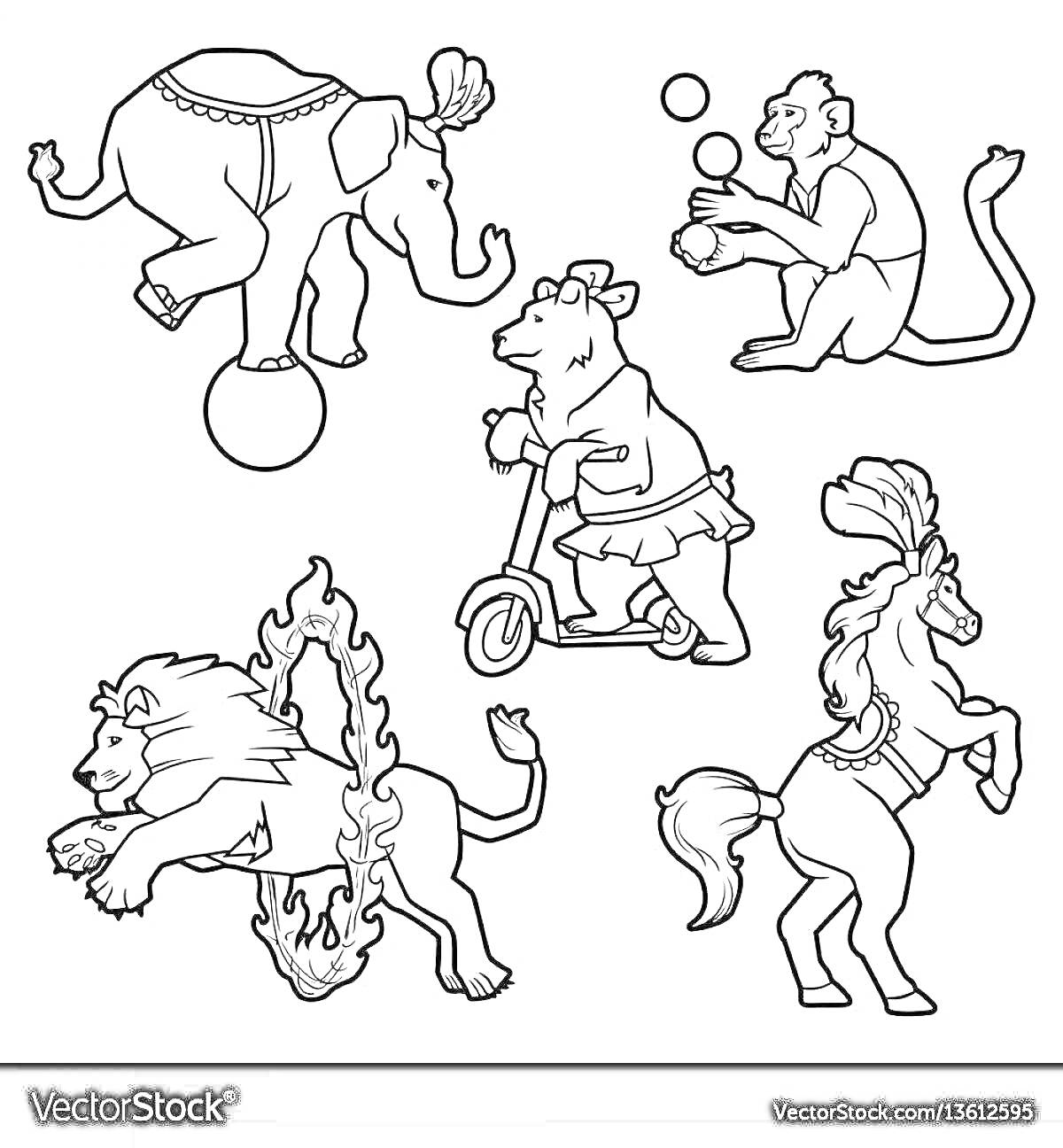 На раскраске изображено: Слон, Медведь, Самокат, Мячи, Жонглирование, Лев, Лошадь, Перья, Дрессированные животные, Цирк