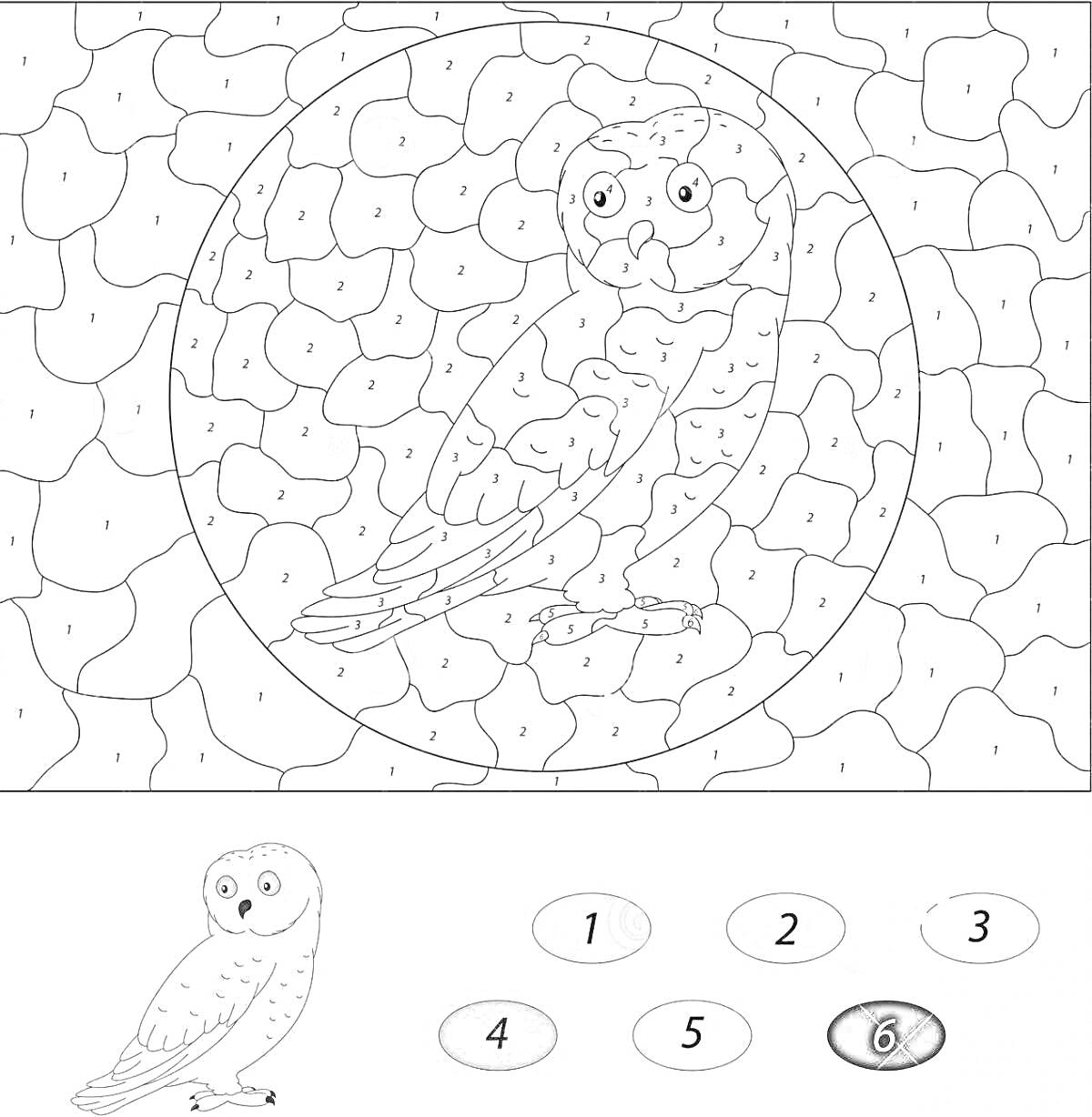 На раскраске изображено: Сова, По номерам, Творчество, Птица, Искусство, Контурные рисунки