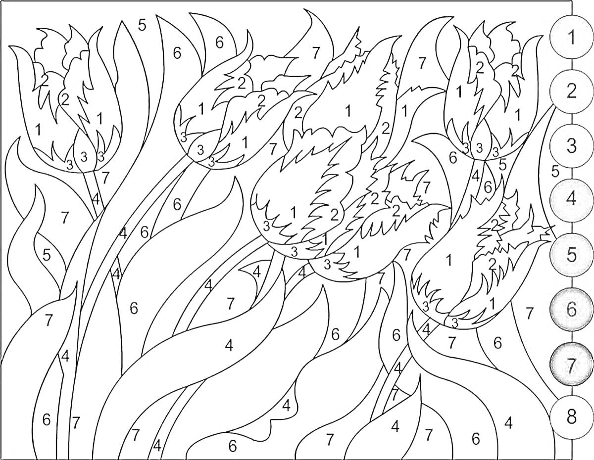 Раскраска Тюльпаны, листья и стебли на фоне