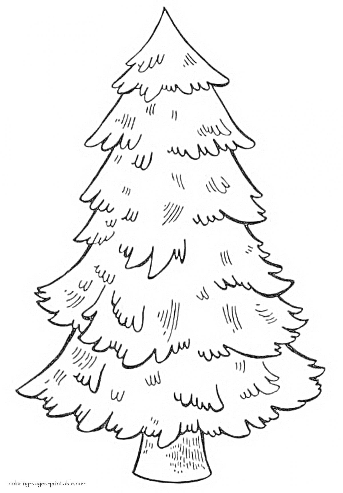 На раскраске изображено: Новогодняя ёлка, Для детей, Деревья, Елки, Хвойные деревья
