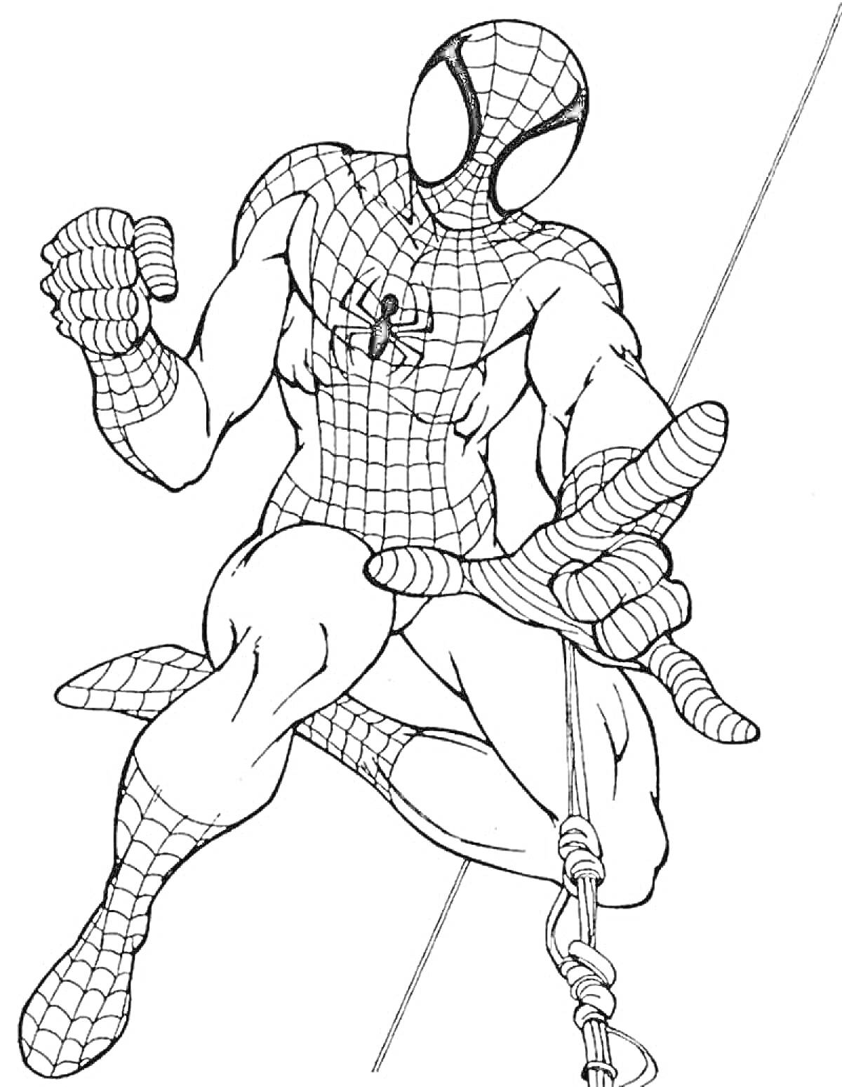 Раскраска Человек-паук, позирующий на паутине