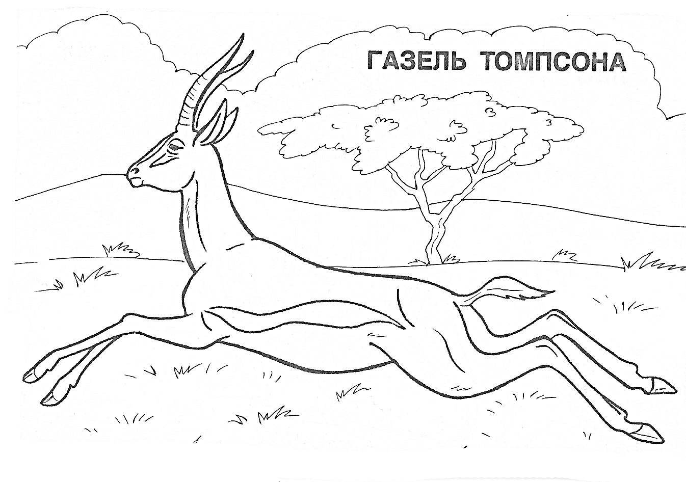 Раскраска Газель Томпсона, дерево, трава, горы, небо