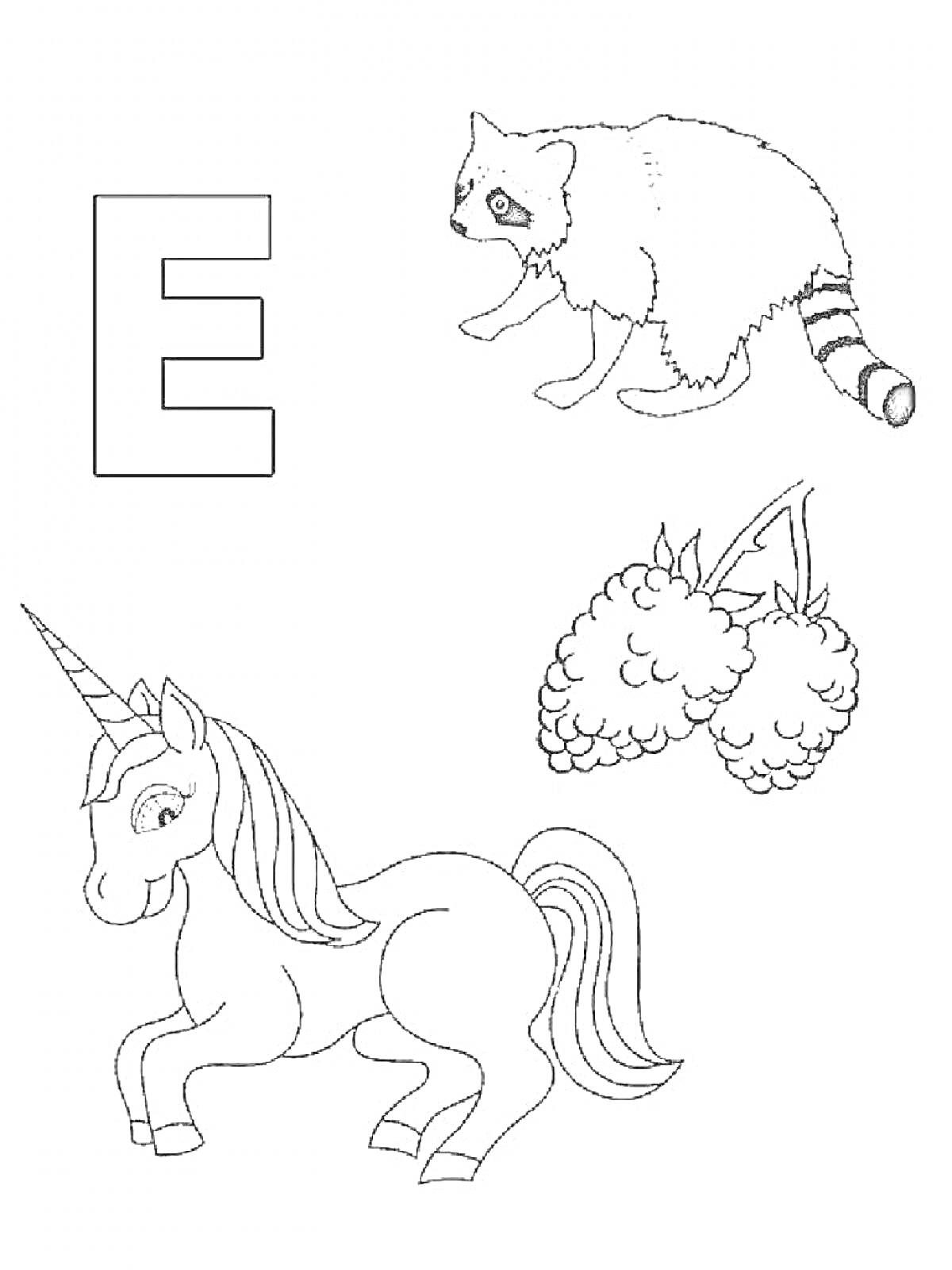На раскраске изображено: Буква Е, Енот, Ежевика, Для детей, Алфавит, Животные, Ягоды, Мифические существа