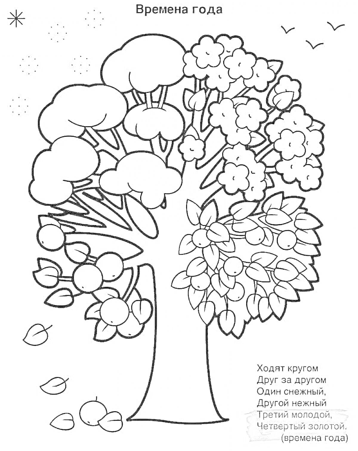 На раскраске изображено: Времена года, Цветы, Листья, Снег, Плоды, Осень, Зима, Весна, Лето, 1 класс