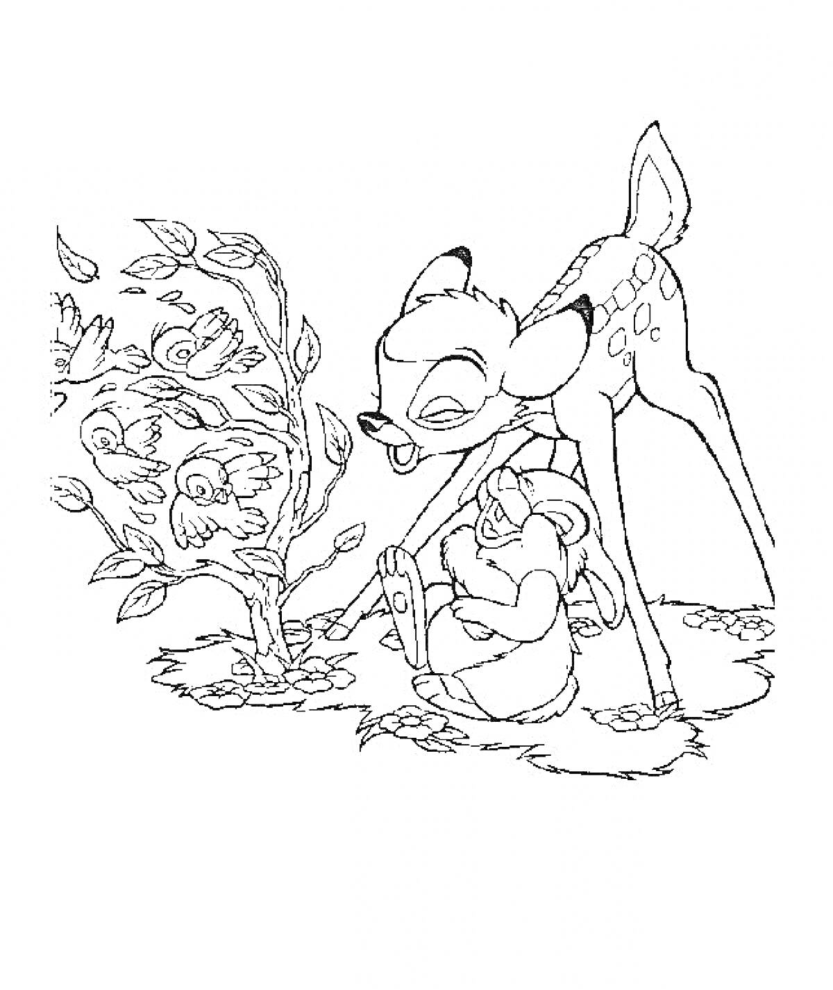 Раскраска Бэмби и Топотун у куста с птицами и бабочками