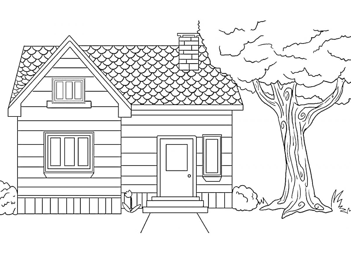 На раскраске изображено: Дом, Кусты, Дверь, Крыша, Труба, Ступени, Веранда, Окна, Деревья, Растения
