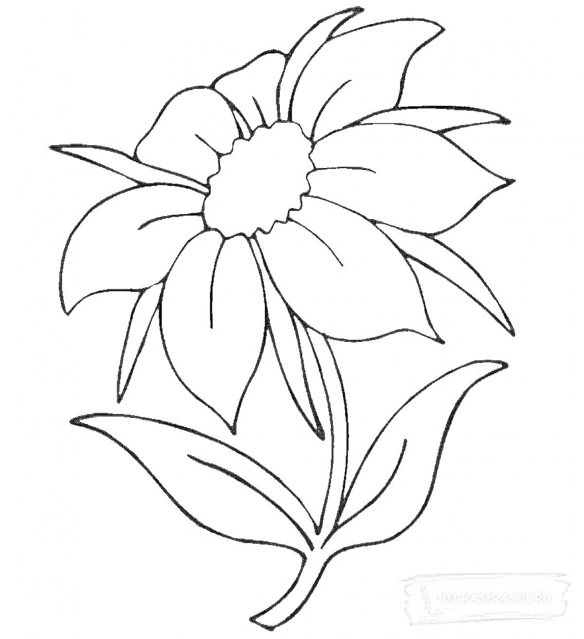 Раскраска Цветок с листьями