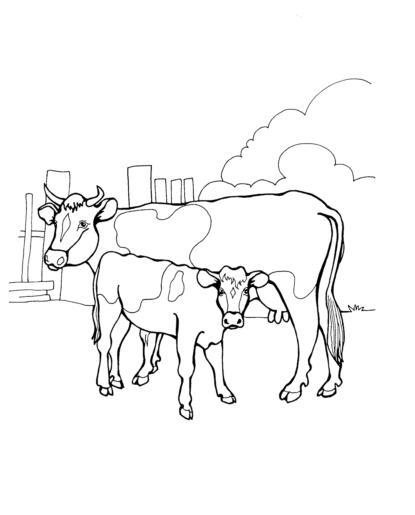 Раскраска Корова и теленок на ферме перед оградой с видом на поле и небо