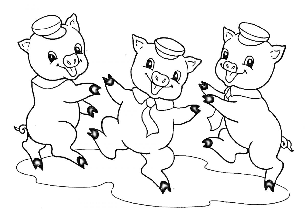 На раскраске изображено: Три поросенка, Сказочные персонажи, Для детей, Шляпа, Животные