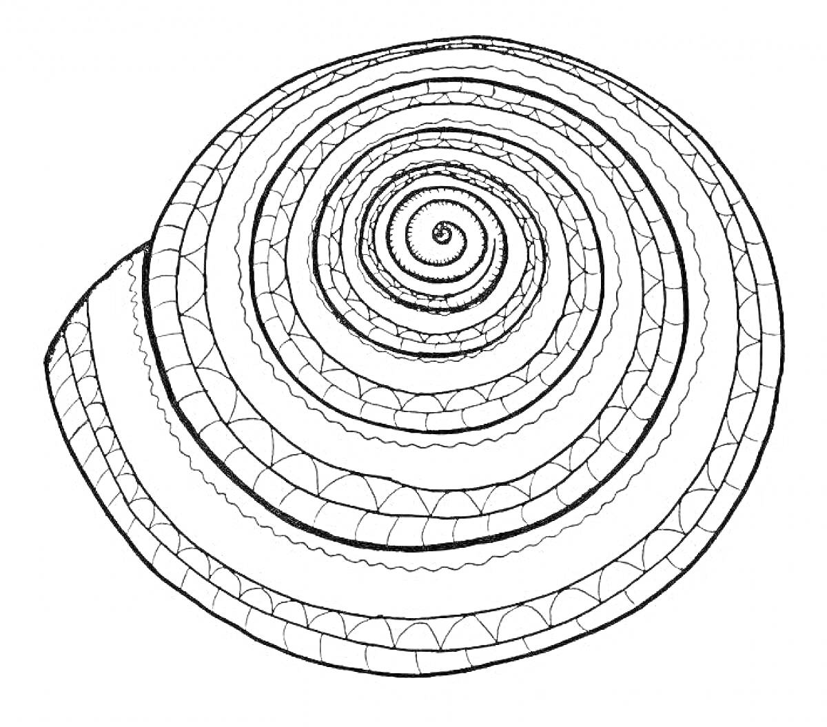 Спиральный узор с круглыми и дугообразными элементами