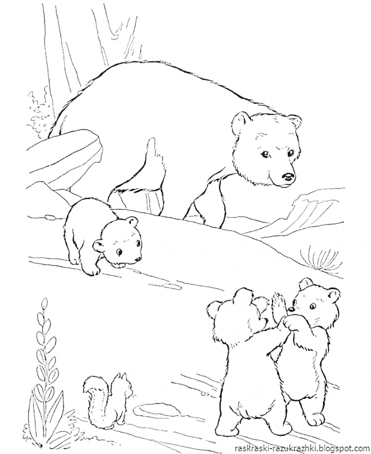 Раскраска Медведица с тремя медвежатами в лесу возле камней и кустарника