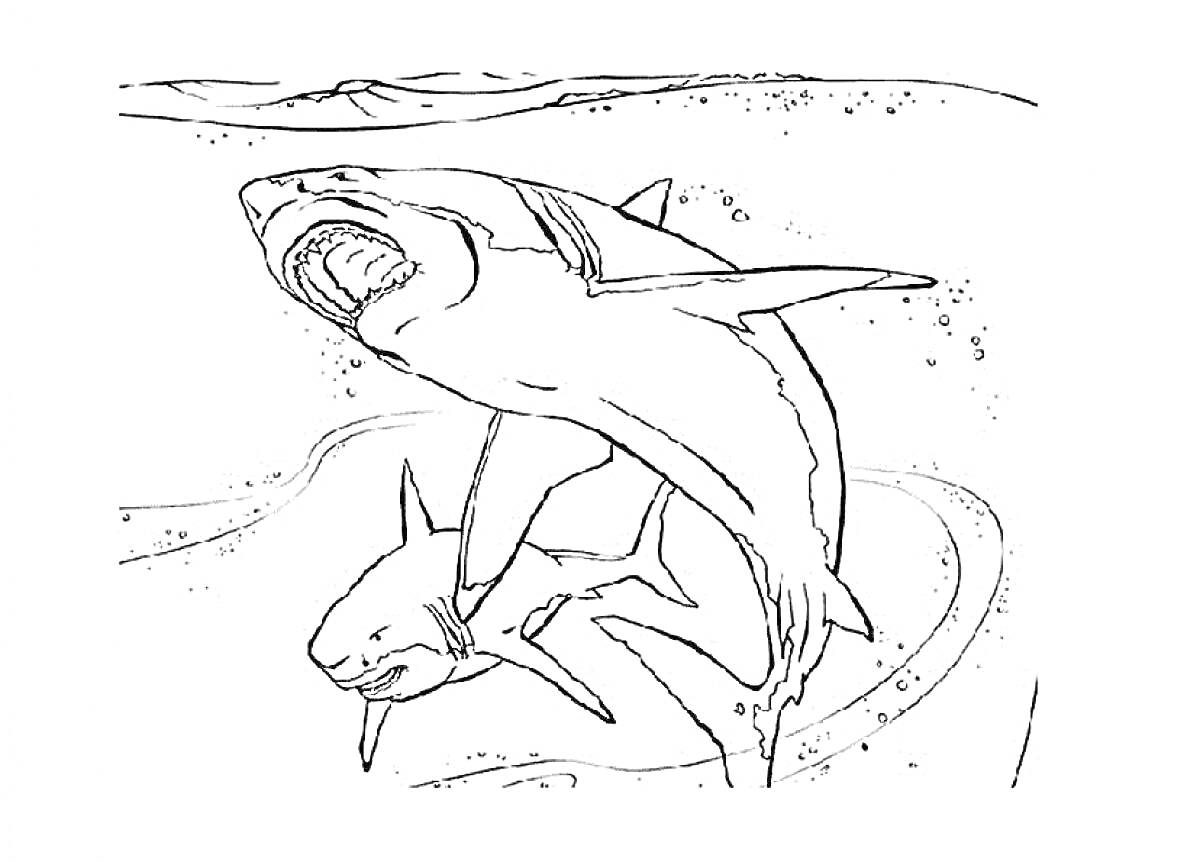 Раскраска Две акулы на фоне подводного мира