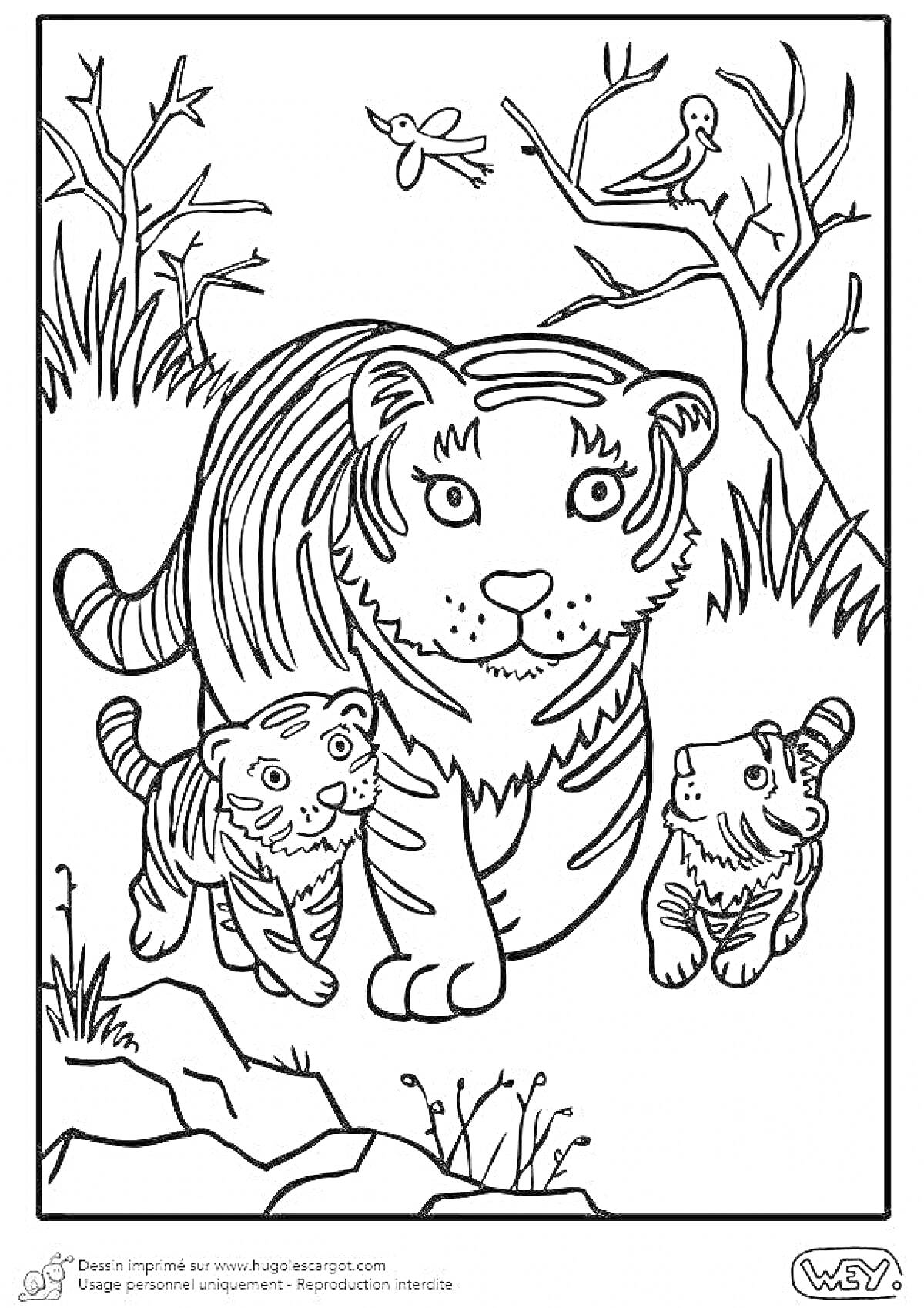Раскраска Тигрица со своими детенышами возле деревьев и кустов, птицы на деревьях и в полёте