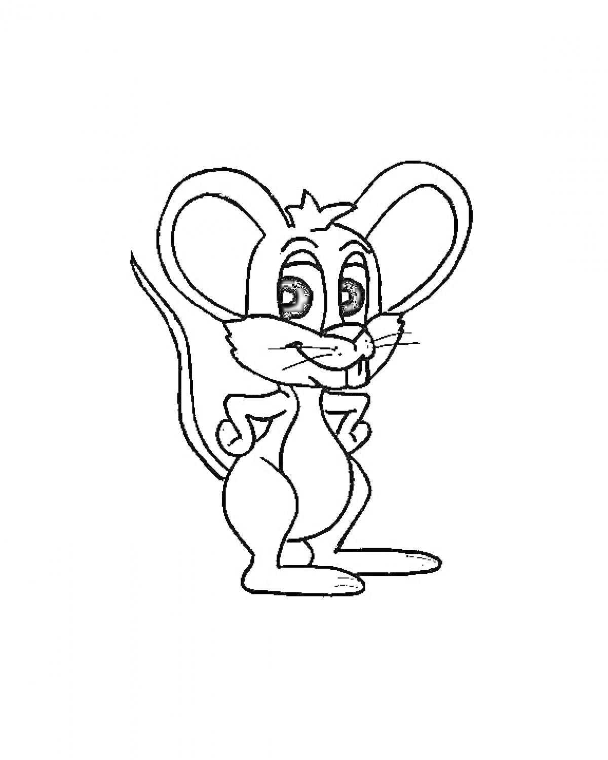 Раскраска Мышка с большими ушами, стоящая на задних лапках