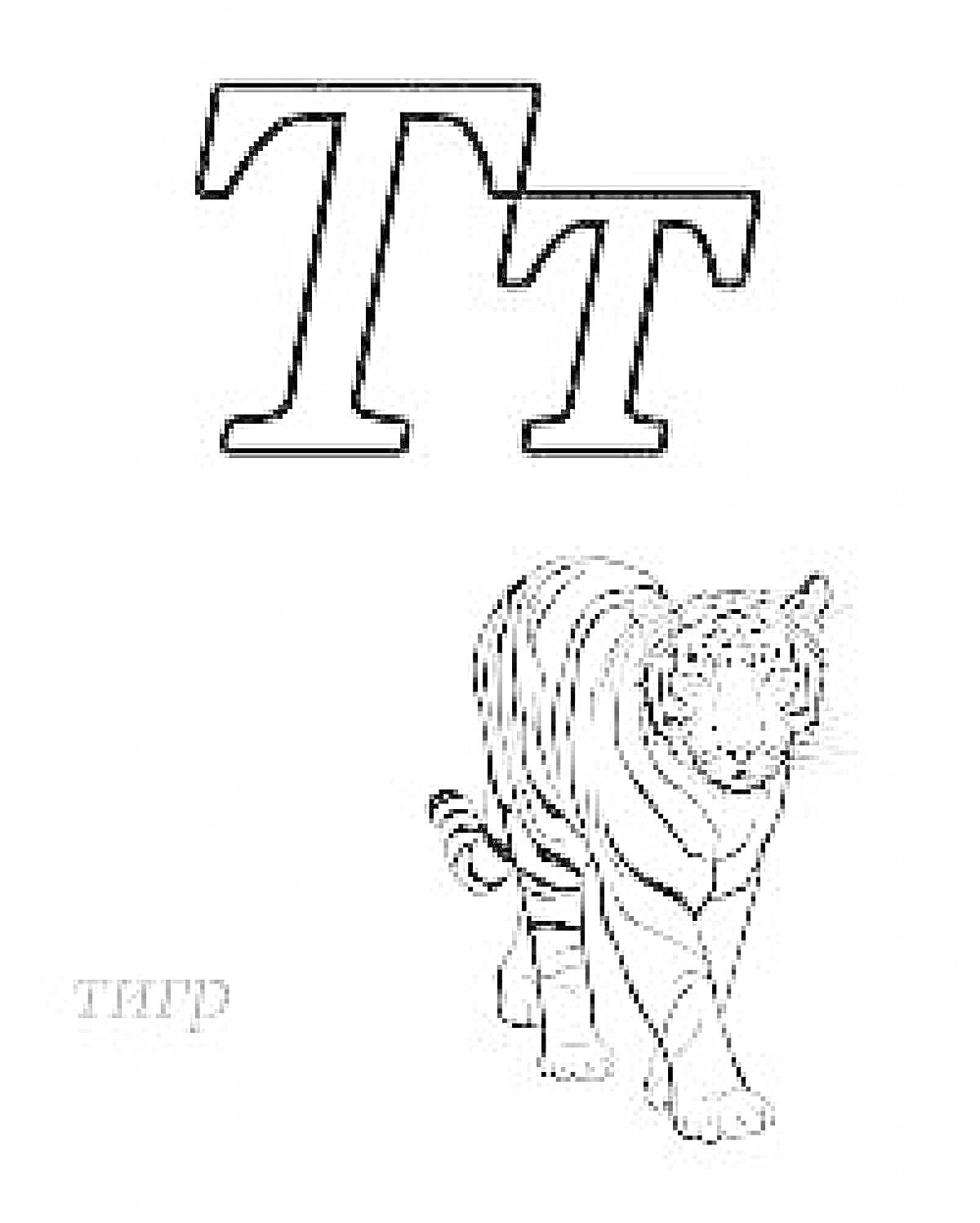 На раскраске изображено: Буква Т, Азбука, Тигр, Животные, Обучение