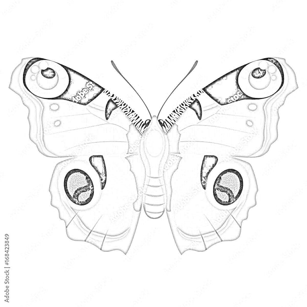 Раскраска Бабочка павлиний глаз с узорами на крыльях