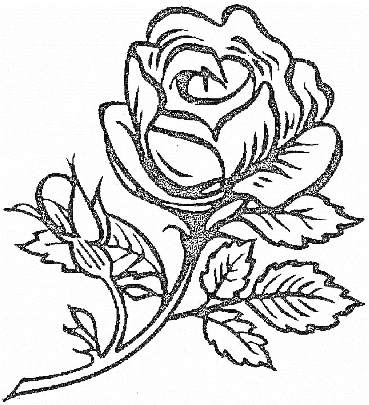 На раскраске изображено: Бутон, Листья, Цветы, Розы, Контурные рисунки