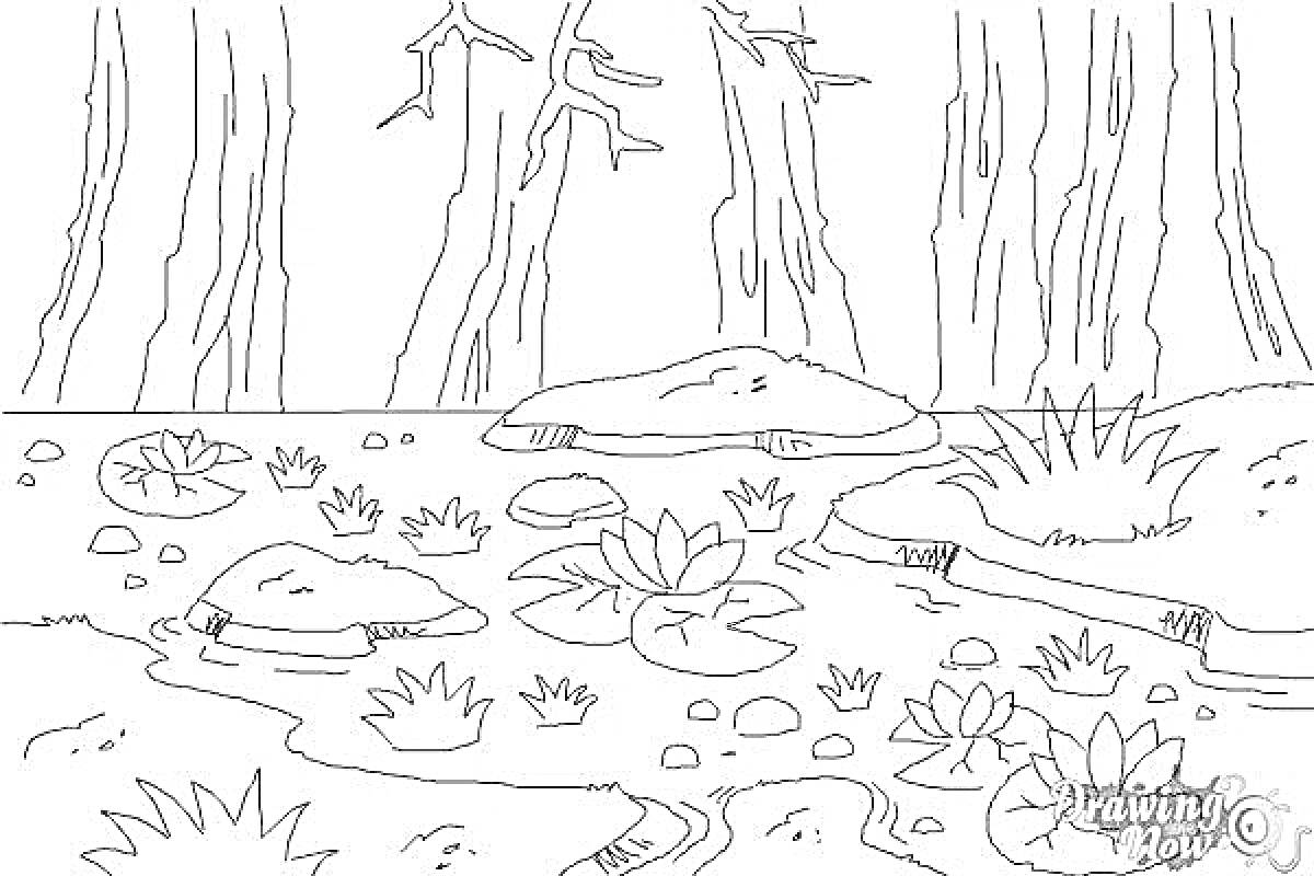 На раскраске изображено: Болото, Лилии, Камни, Трава, Деревья, Растительность, Водоем, Природа