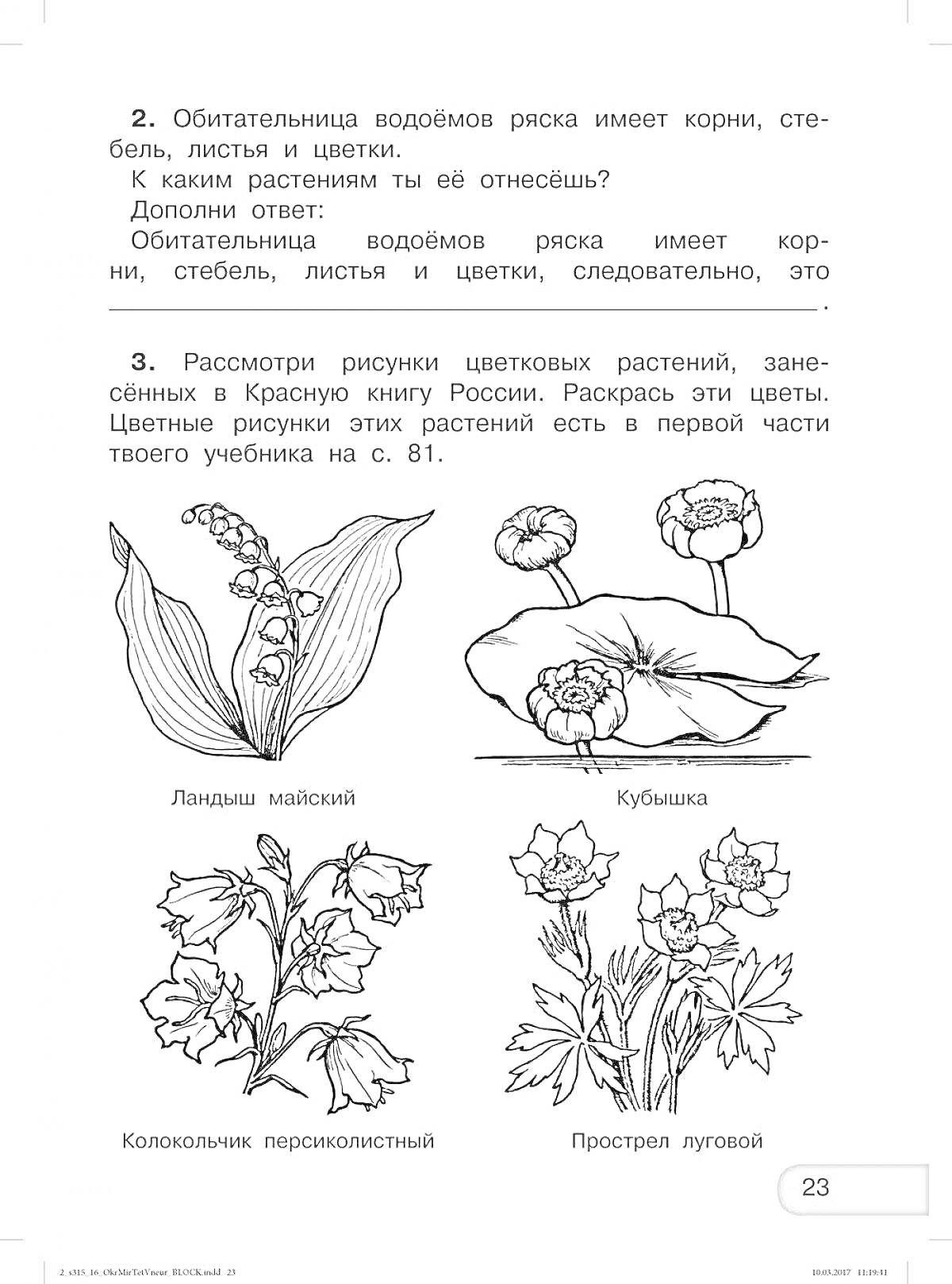 На раскраске изображено: Окружающий мир, 2 класс