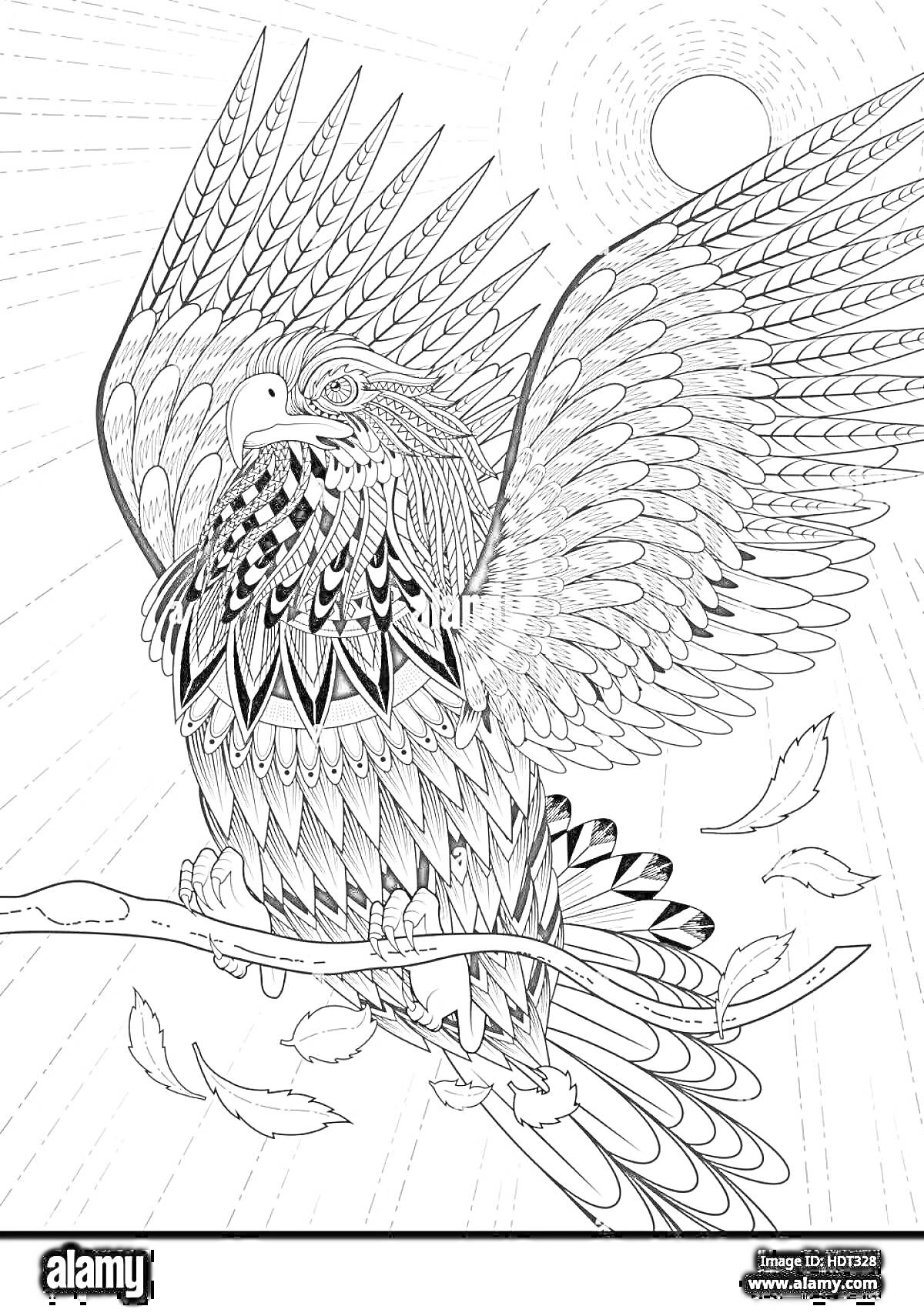 РаскраскаОрел с распростертыми крыльями на ветке с листьями и солнцем в небе, узорчатый 