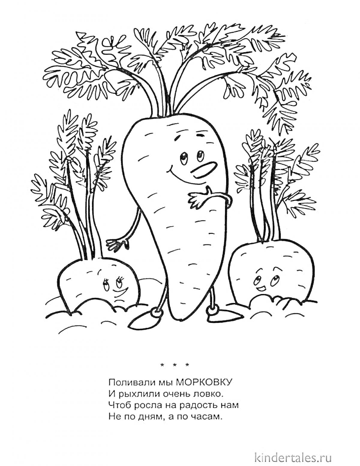 Раскраска Морковь в огороде