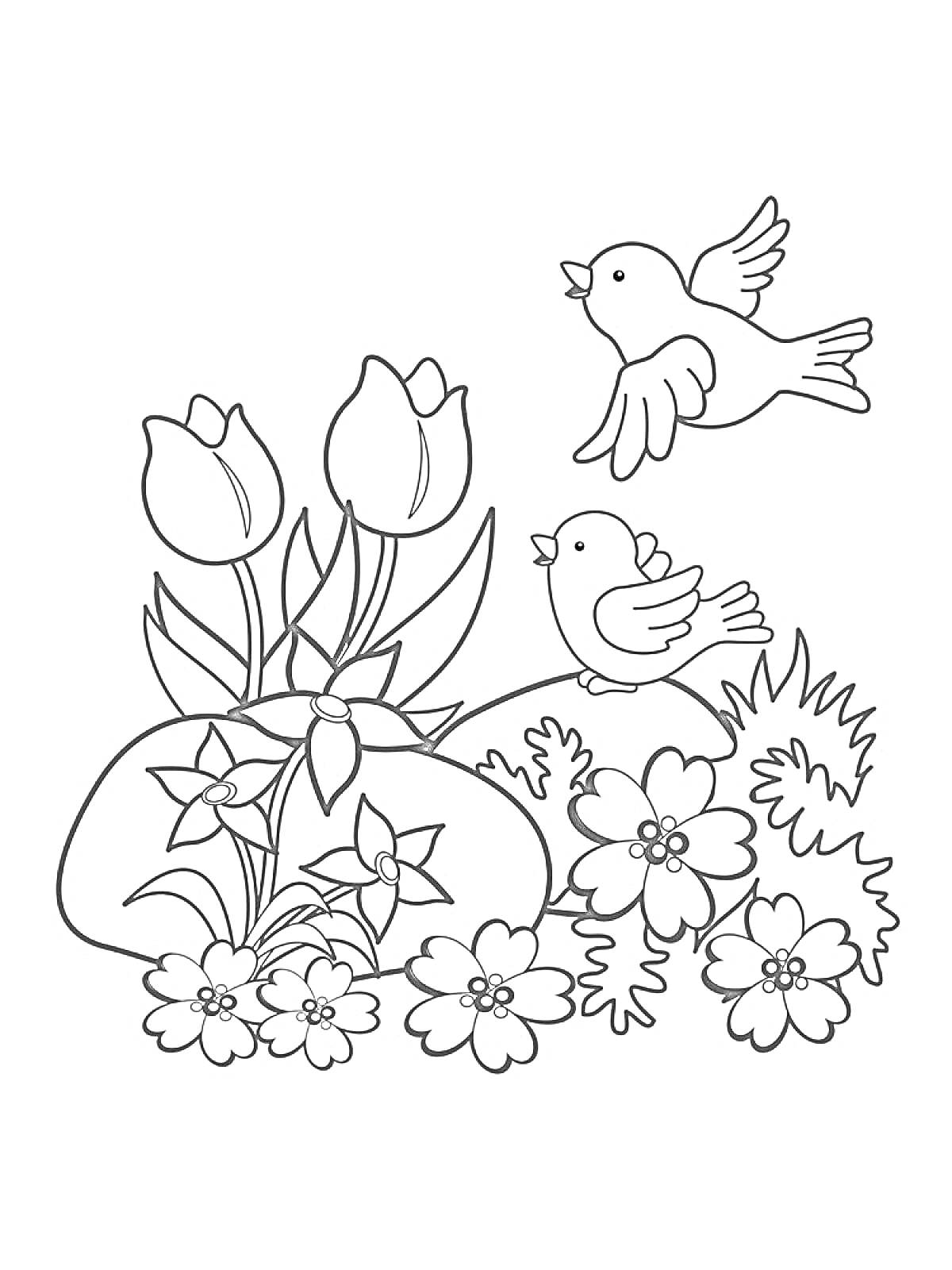 На раскраске изображено: Май, Тюльпаны, Цветы, Весна, Природа, Камни, Птица