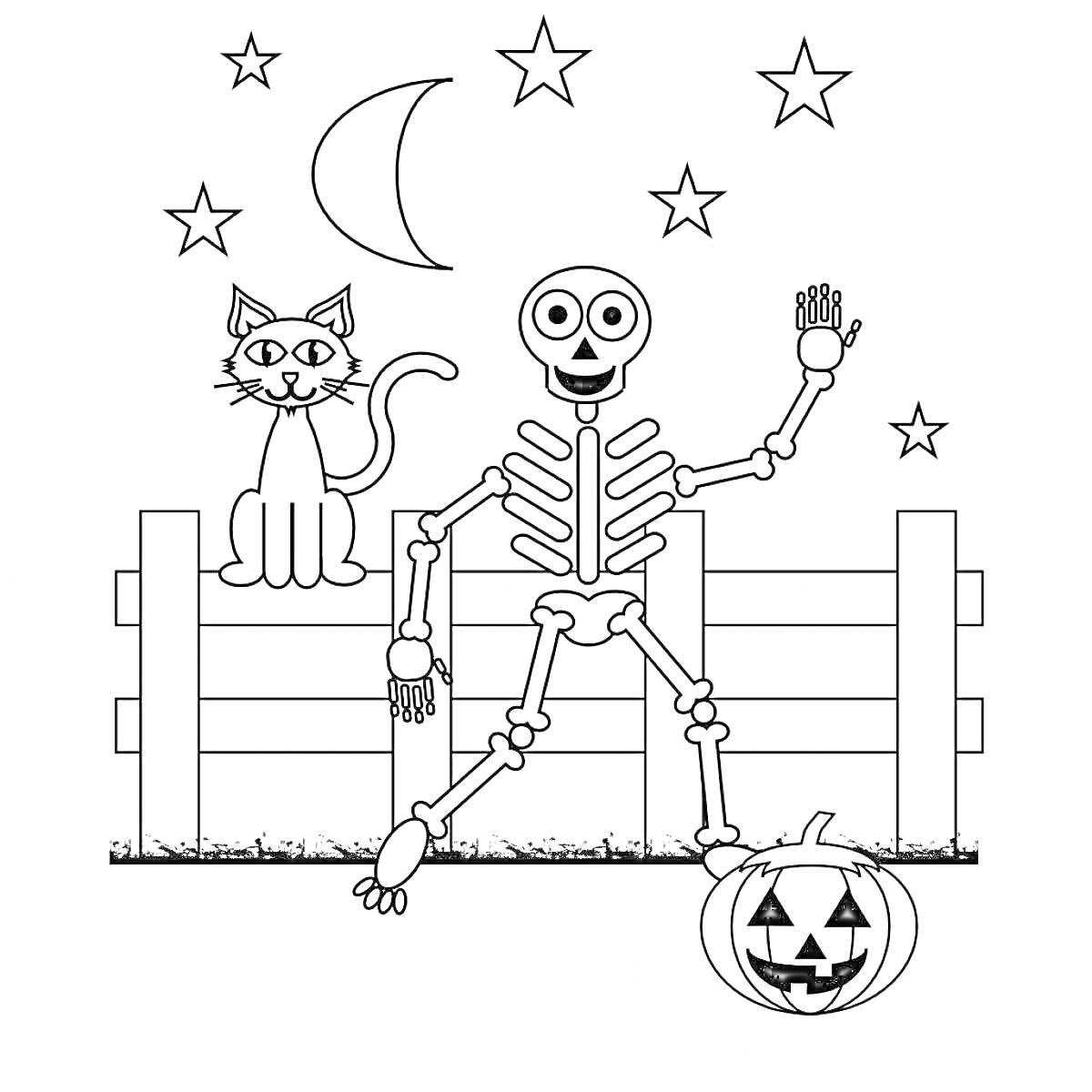 На раскраске изображено: Скелет, Кот, Тыква, Забор, Луна, Звезды, Ночь, Хэллоуин