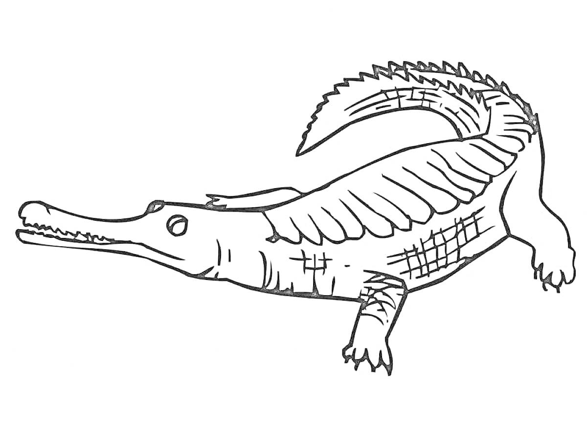 саркозух, крокодил, рисунок для раскраски с плавником на спине