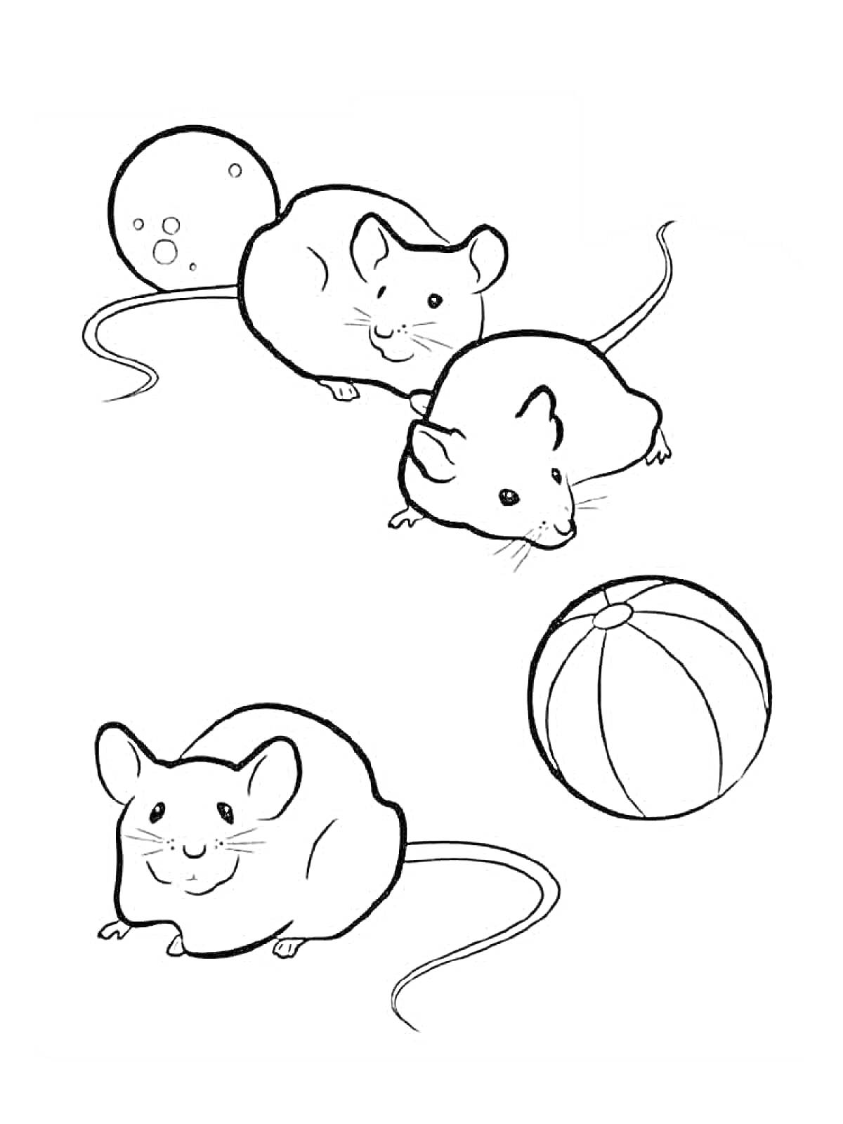 На раскраске изображено: Мышка, Мяч, Мячик, Игра, Для детей, Мышь, Животное