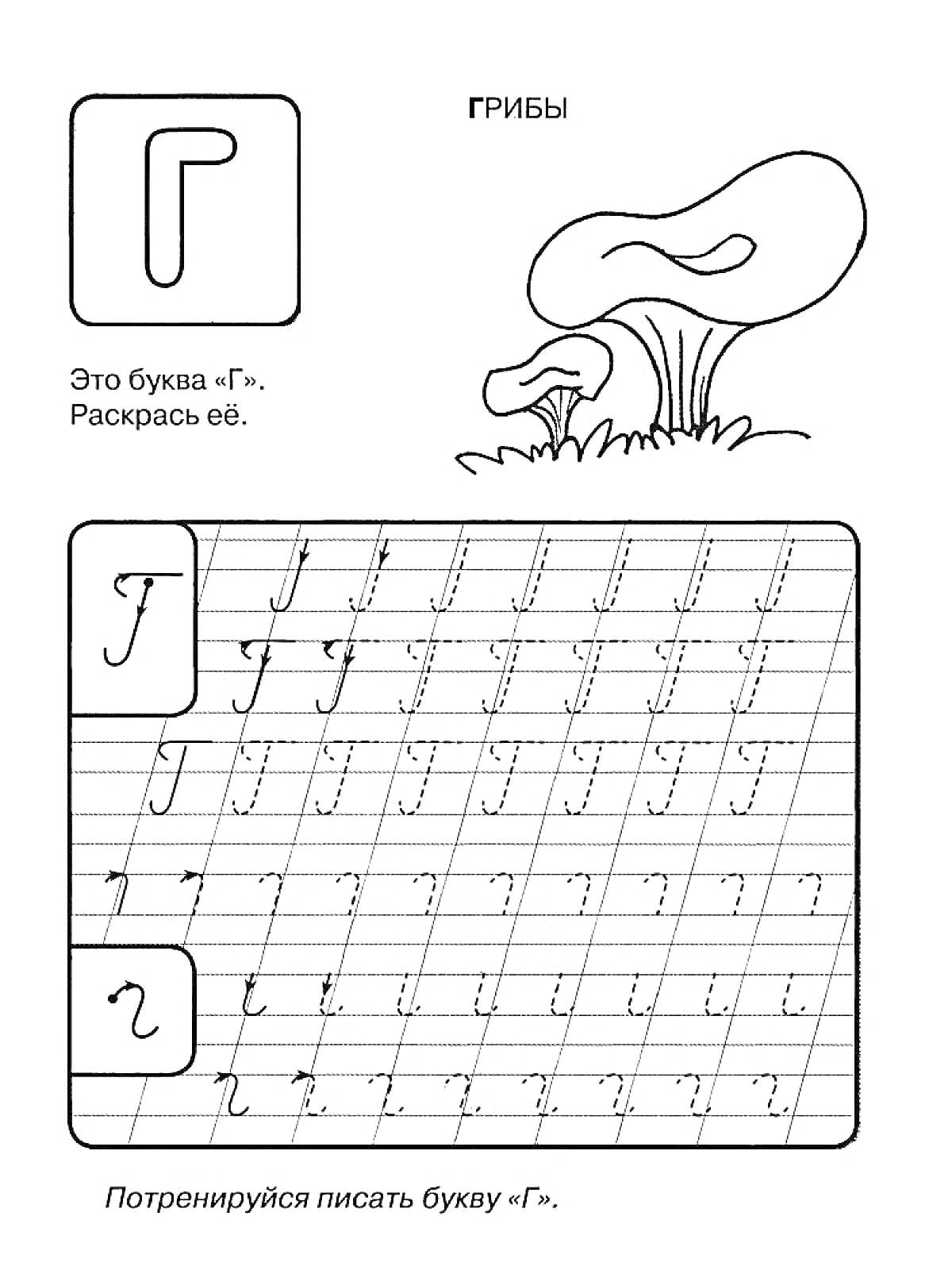 На раскраске изображено: Прописи, Буква Г, Буквы, Грибы, Обучение письму, Для детей, Учебные материалы, Русский язык