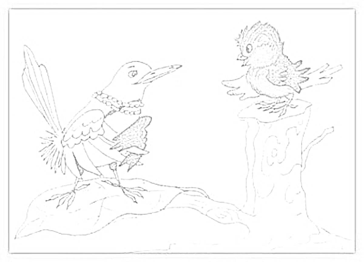 Раскраска Воробей с растрепанными перьями и другая птица с ожерельем на ветках дерева
