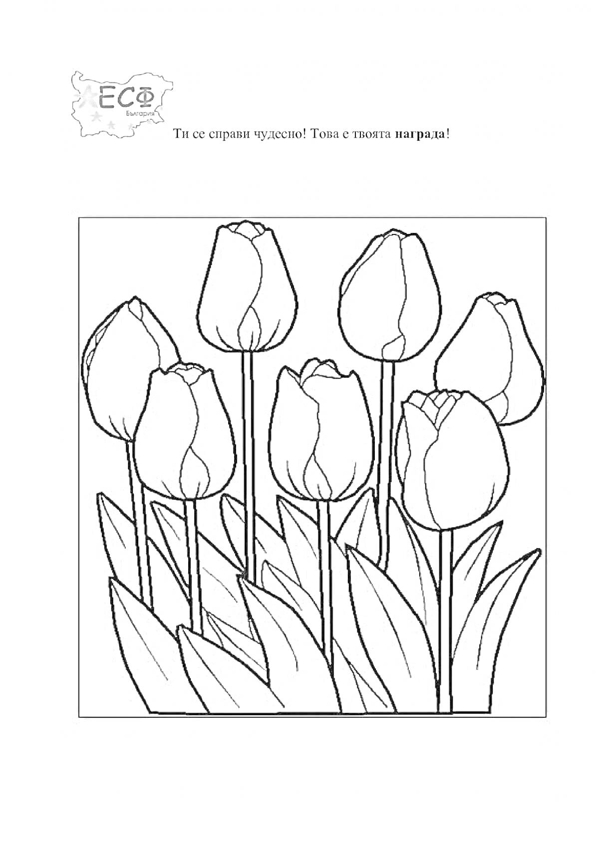 Раскраска Тюльпаны к 8 марта (семь бутонов тюльпанов с листьями)