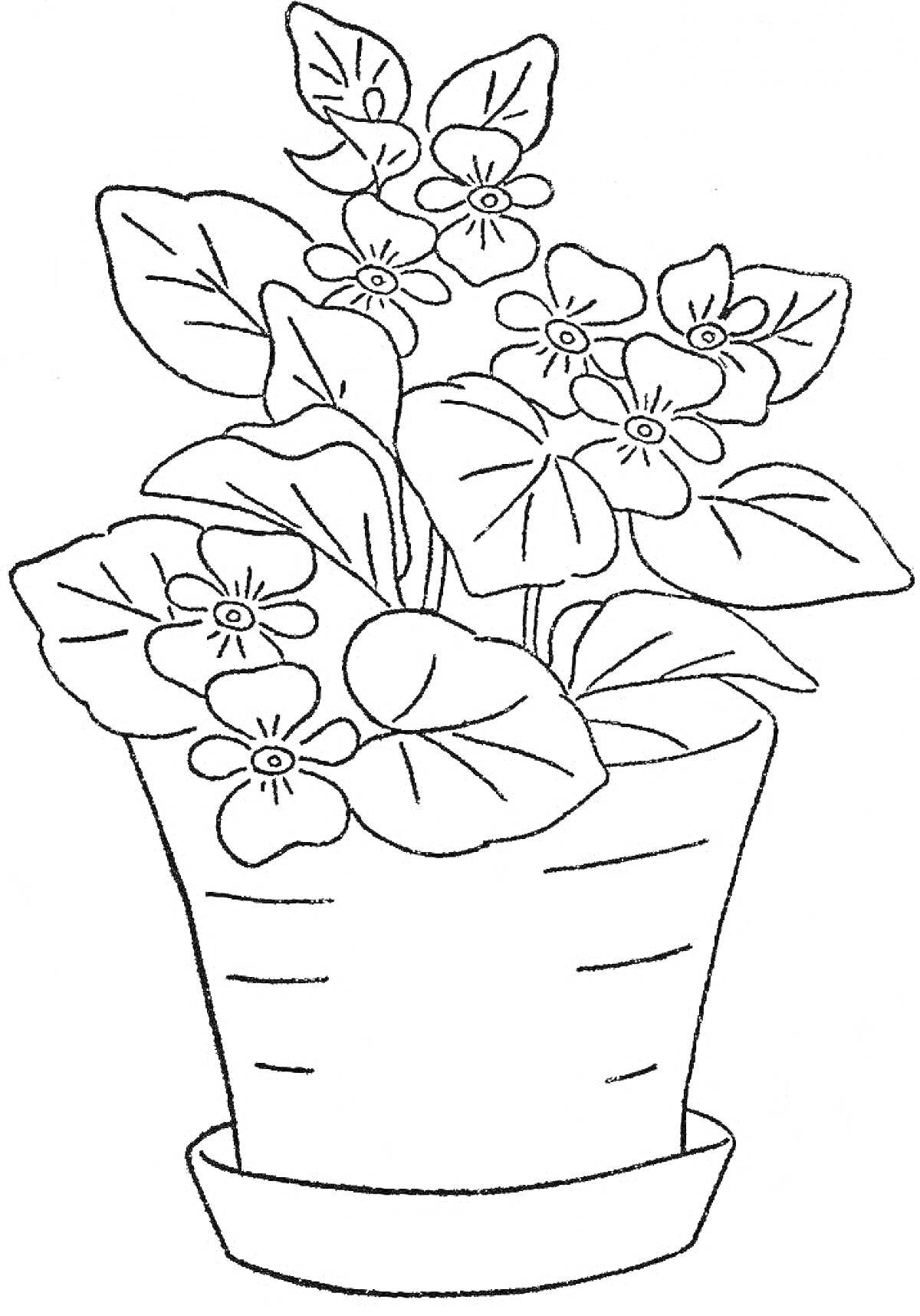 Раскраска Горшок с цветущим комнатным растением и большими листьями