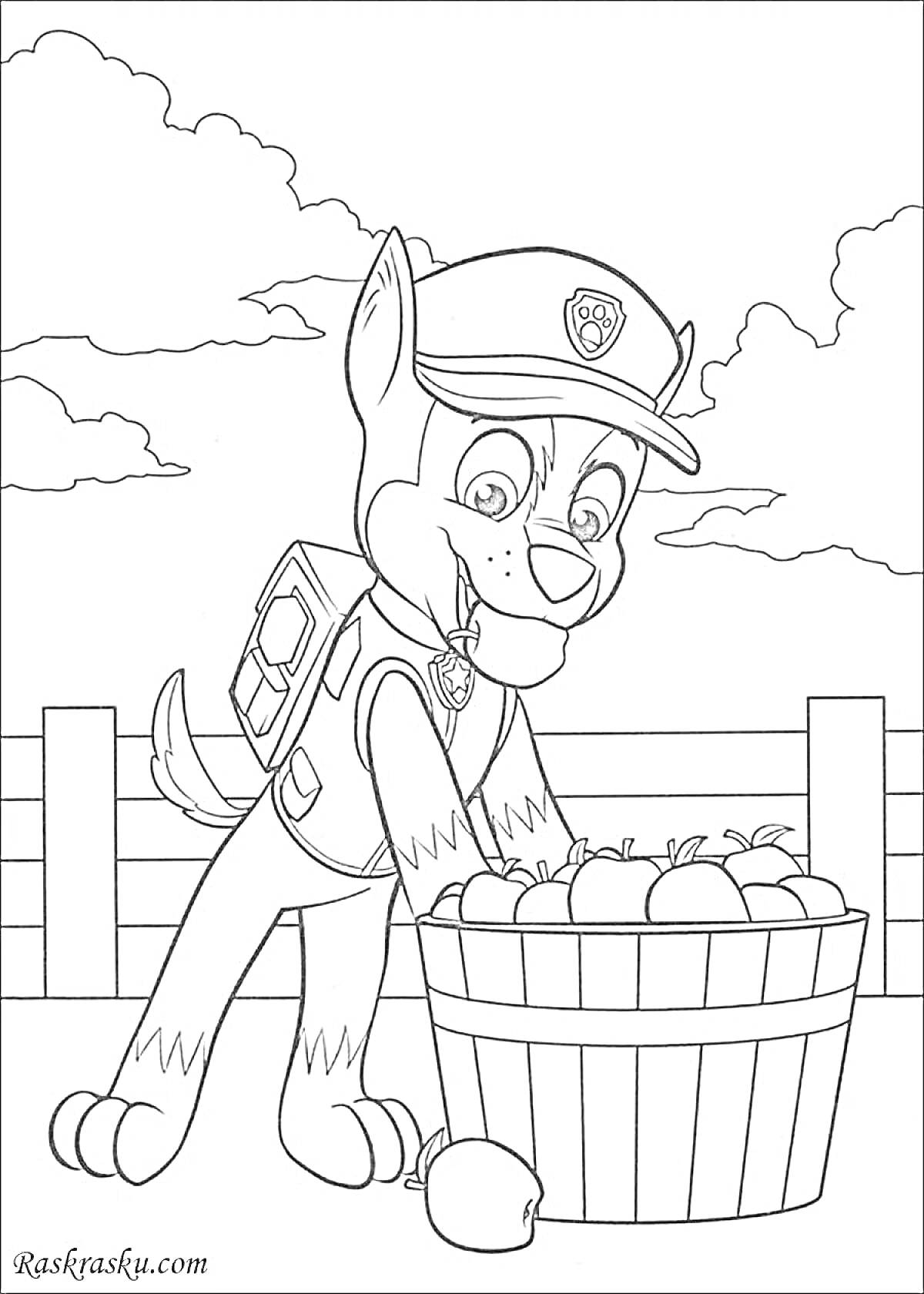 На раскраске изображено: Гонщик, Щенячий патруль, Яблоко, Природа, Забор, Небо, Облака