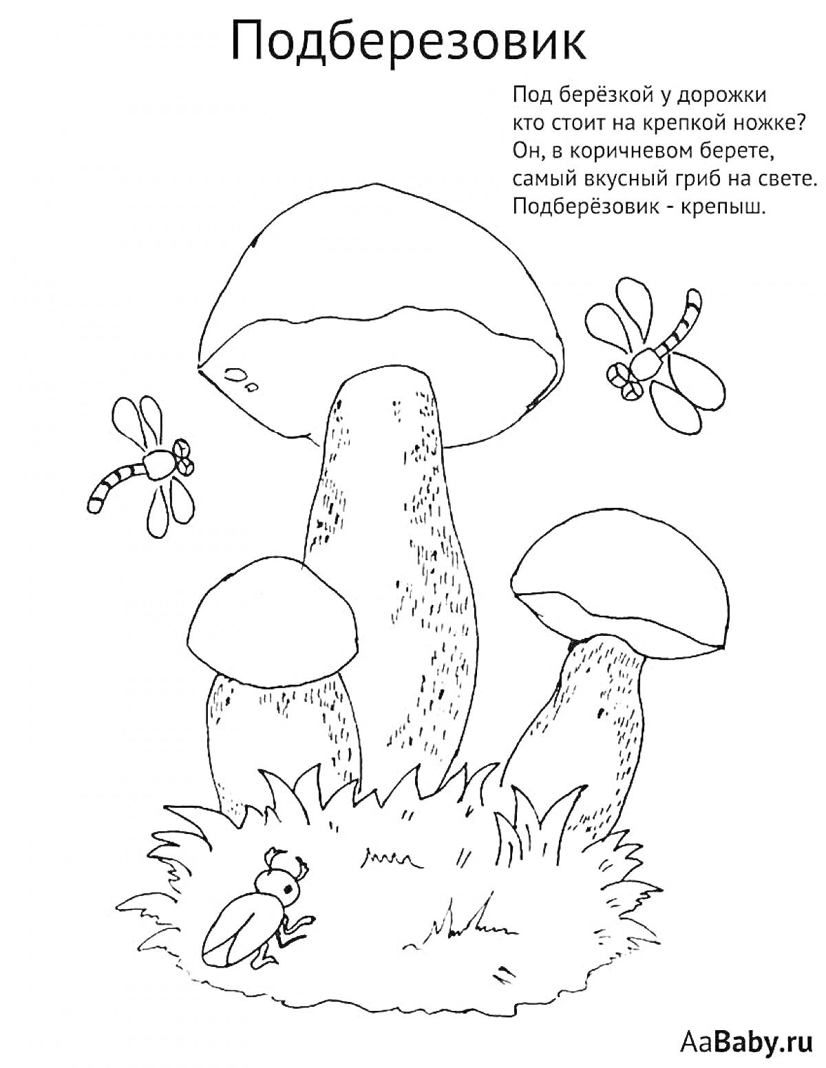 На раскраске изображено: Подберёзовик, Съедобные грибы, Стрекозы, Трава, Природа, Грибы