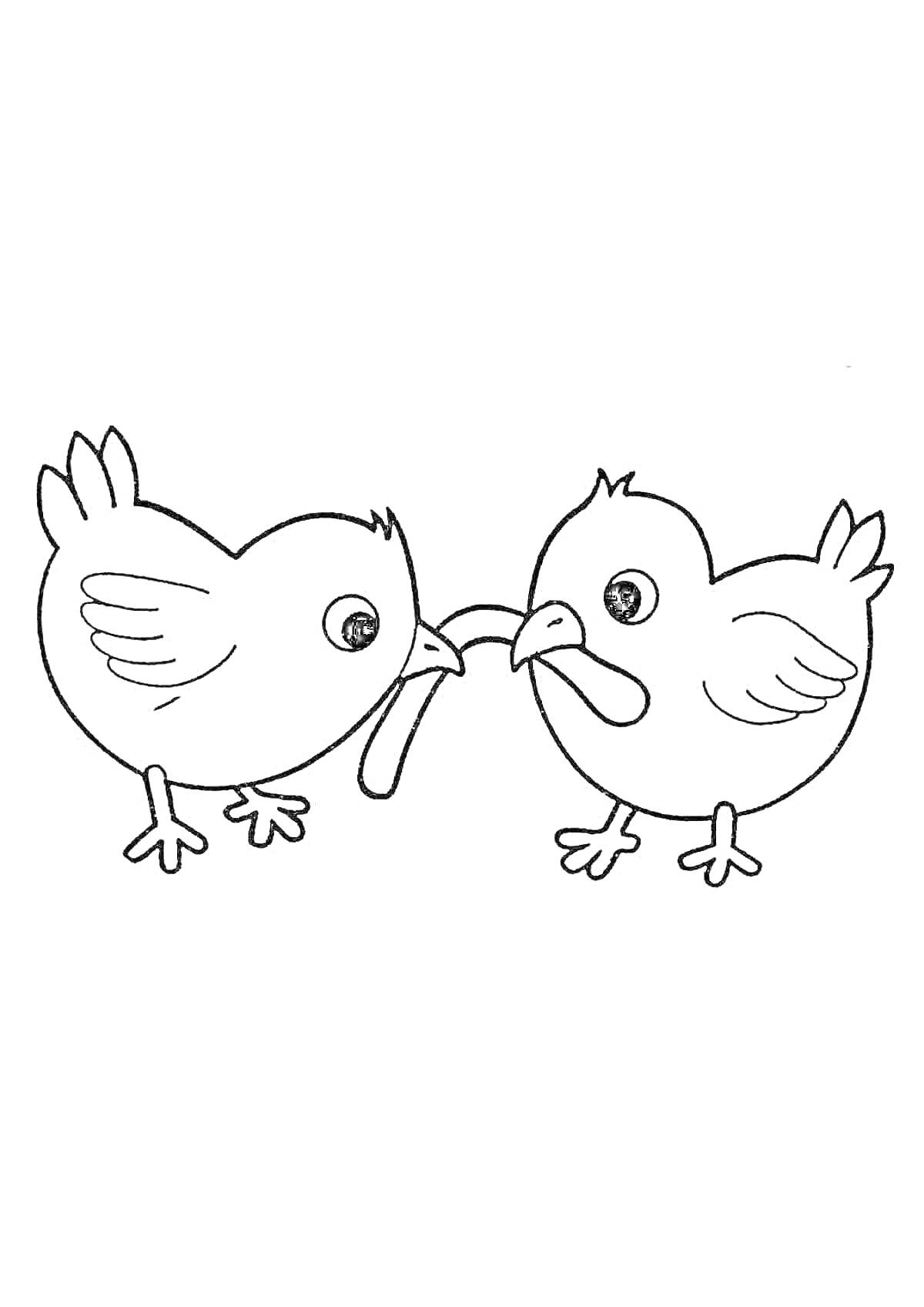 На раскраске изображено: Цыплята, Червяк, 6 лет, 7 лет, Животные