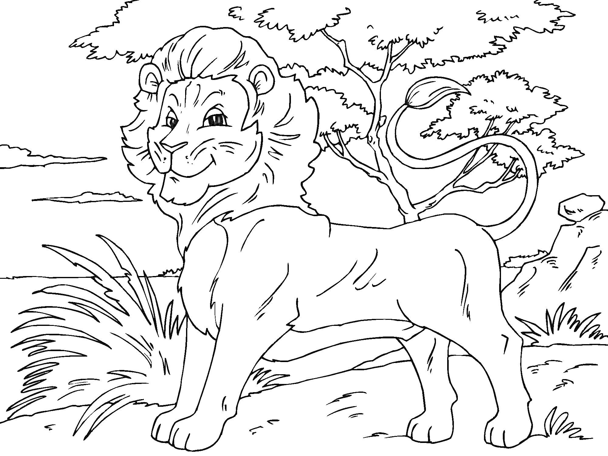 Раскраска Лев в африканской саванне. На изображении лев стоит на фоне деревьев и травы.