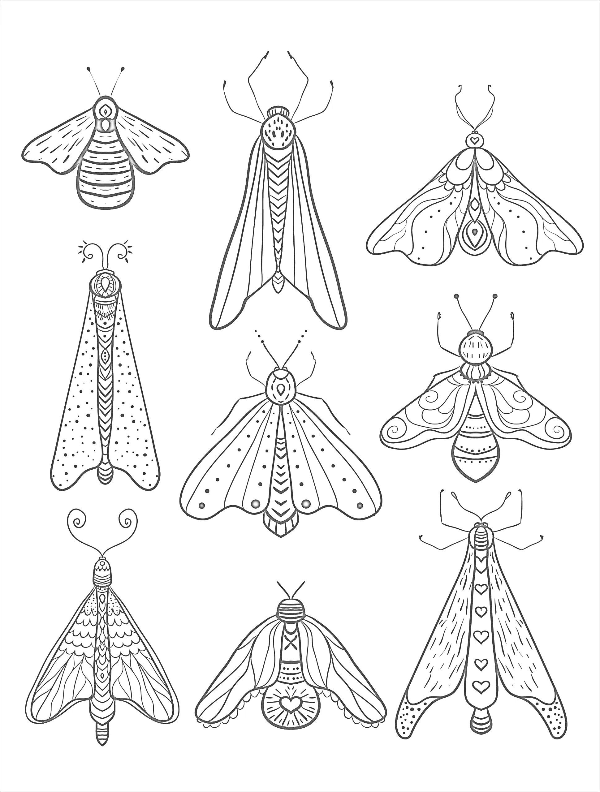 Раскраска с девятью изображениями различных типов моли