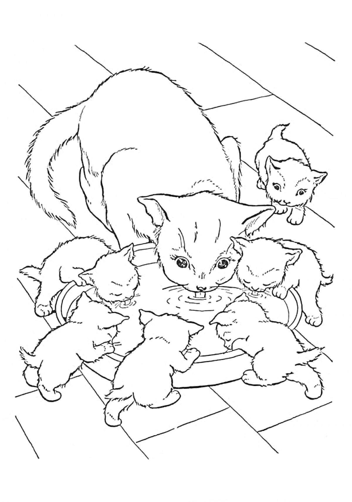 Раскраска Кошка с шестью котятами, лакомящимися из миски на полу