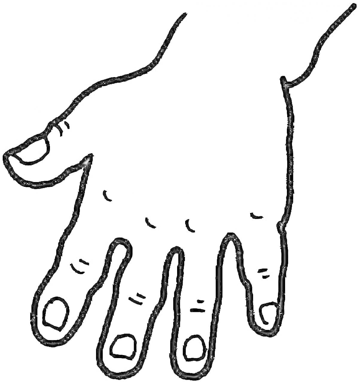На раскраске изображено: Рука, Пальцы, Анатомия, Контурные рисунки