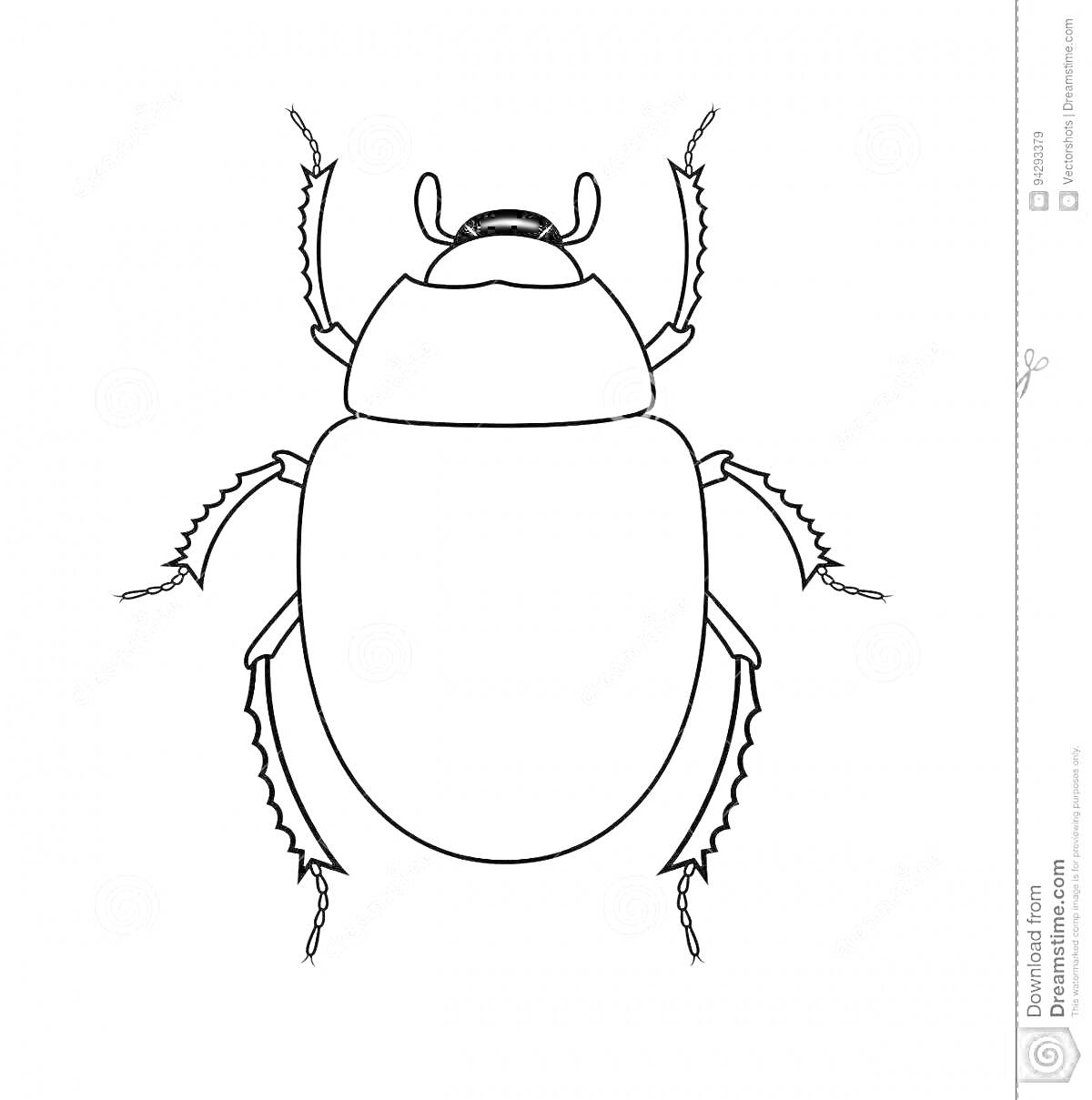 Раскраска Жук с усиками и лапками на белом фоне