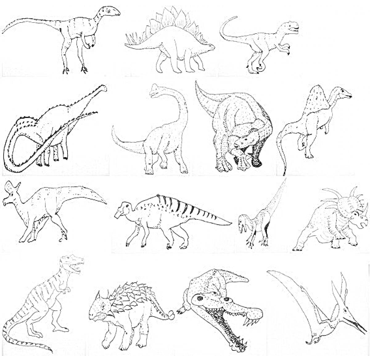 На раскраске изображено: Тарбозавр, Стегозавр, Брахиозавр, Трицератопс, Анкилозавр, Птеродактиль