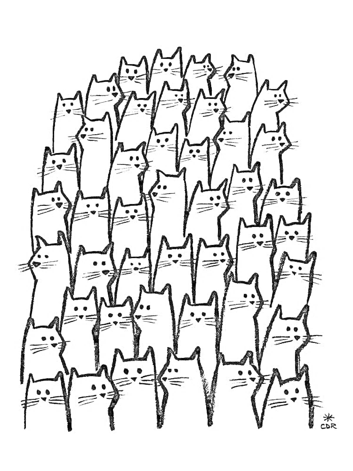 Раскраска Много котиков, стоящих в несколько рядов