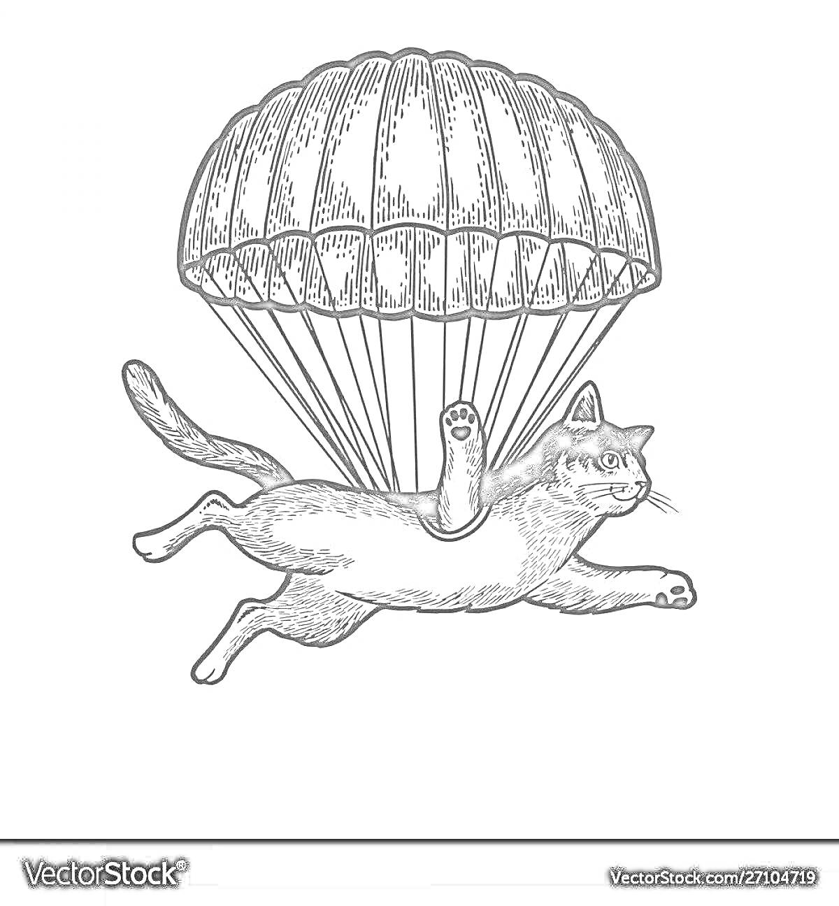 Раскраска Кот летающий с парашютом