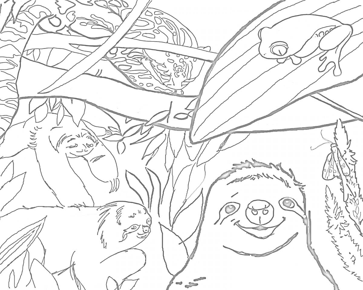 На раскраске изображено: Ленивец, Листья, Джунгли, Природа, Деревья, Животные, Лягушки